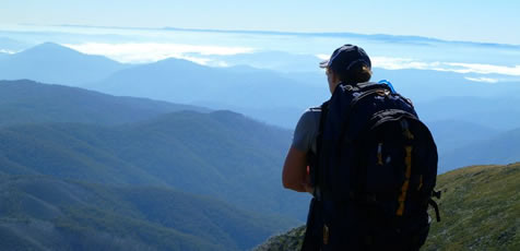 Hiking on Mt. Bogong